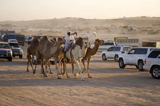 Tour image 6