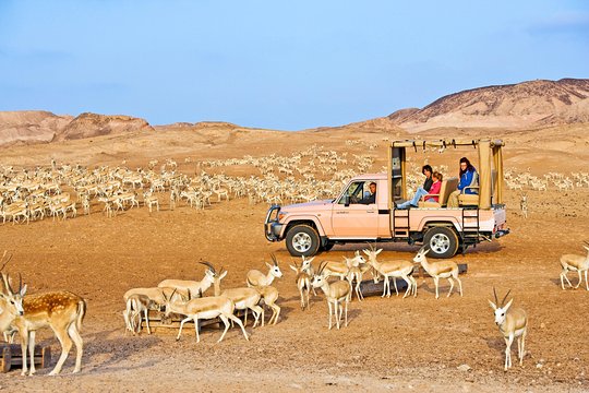 Tour image 2