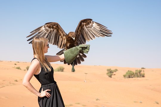 Tour image 5
